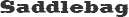 Saddlebag